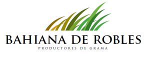 Bahiana de Robles